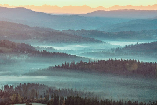 Blue Foggy Forest Overlook Wall Murals