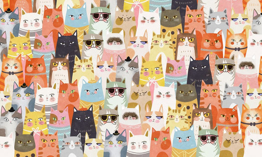 Colorful Distinctive Cats Wall Murals