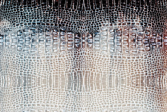 Gray Phython Skin Wall Murals