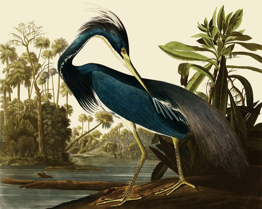 Heron in Jungle Wall Murals