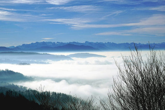 Sea of Clouds Wall Murals