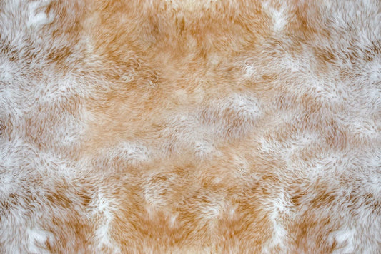 Thick Orange Fur Wall Murals