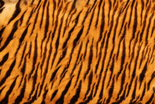 Wild Tiger Fur Wall Murals