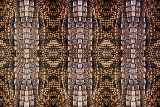 Vertical Python Skin Wall Murals