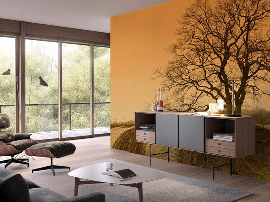 Autumn Meadow Wall Murals