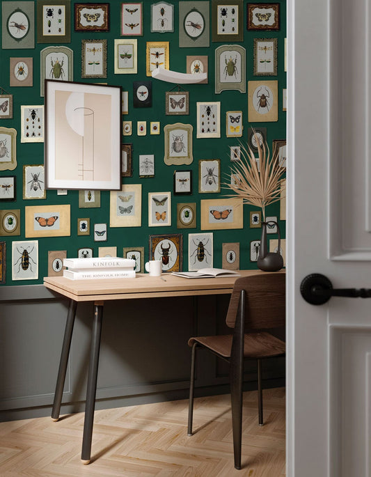 Insect Specimen Wall Murals II