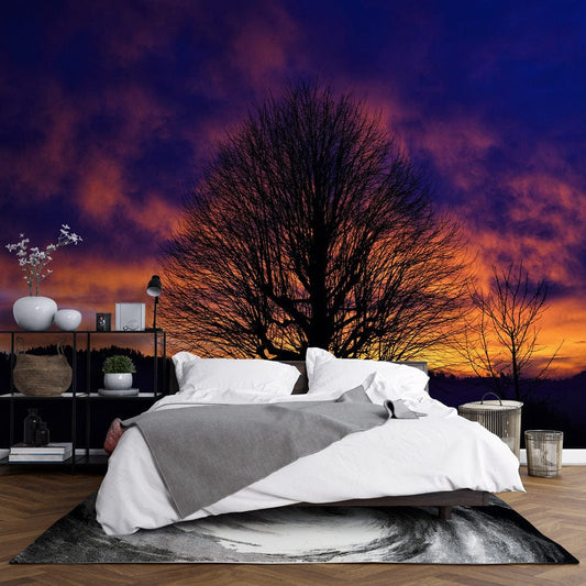 Bare Tree at Dawn Wall Murals