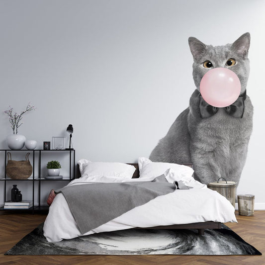 Kitty & Bubble Wall Murals