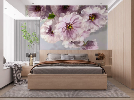 Anemone Wall Murals