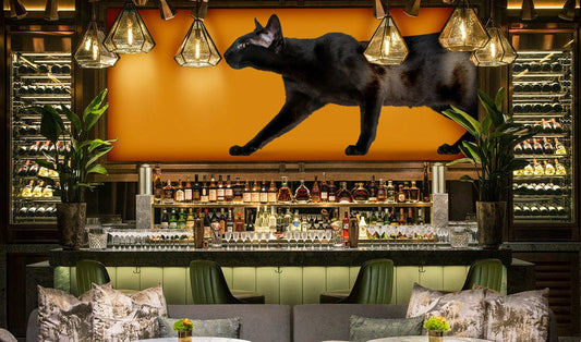 Black Cat King Wall Murals