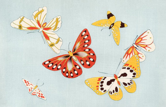 Japanese Butterfly ll Wall Murals