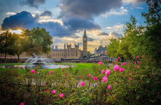 London Park Wall Murals