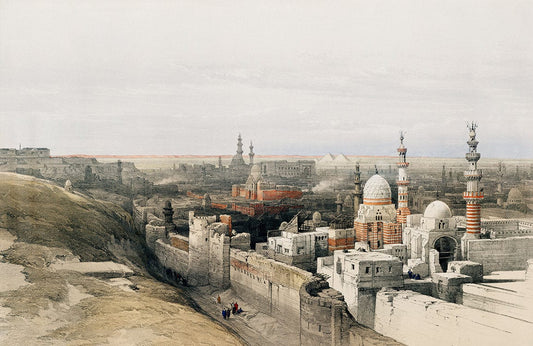 Looking West in Cairo Wall Murals