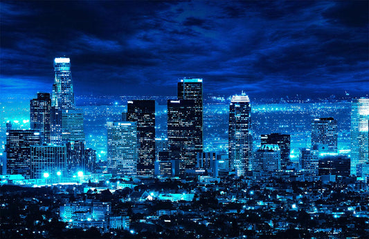 Los Angeles Night Wall Murals