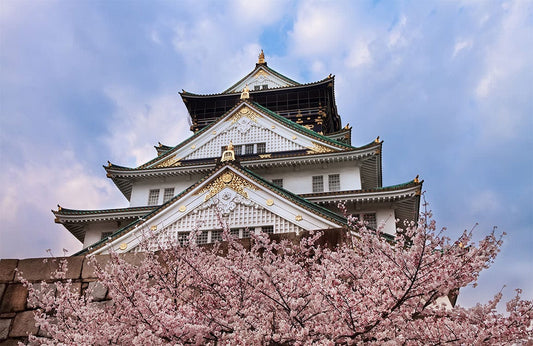 Osaka Palace Wall Murals