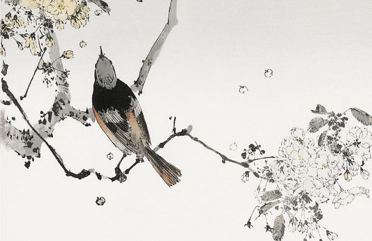 Perched Japanese Swallow Wall Murals