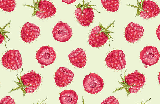 Raspberry Bubble Wall Murals