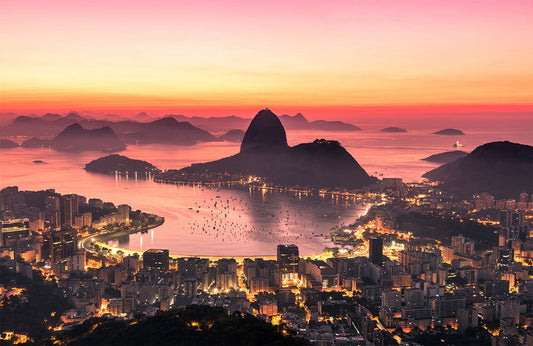 Rio de Janeiro Wall Murals