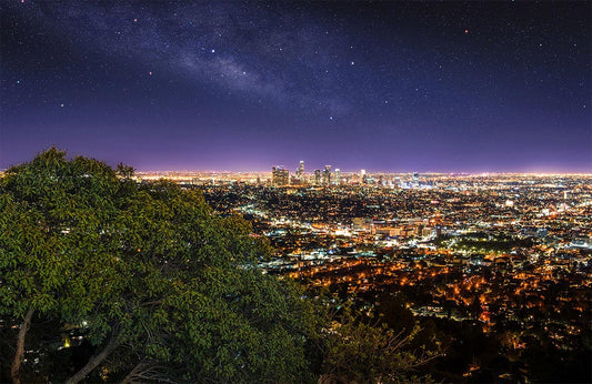 Starry Los Angeles Wall Murals