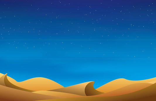 Desert Starry Night Wall Murals