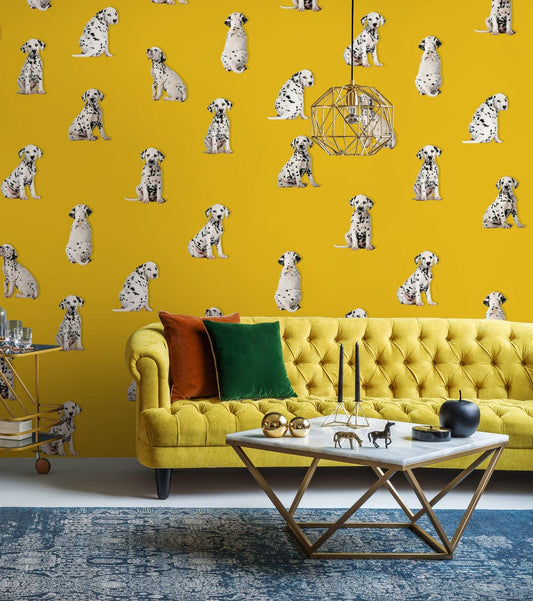 Dalmatian Puppies Wall Murals