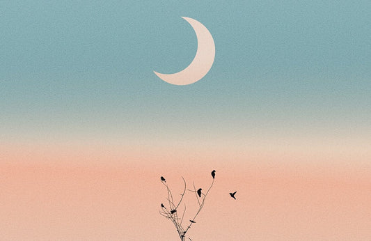 Ombre Moonlight Wall Murals