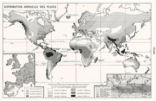 Annual Rainfall Distribution Wall Murals