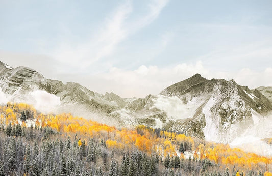 Peak Wall Murals