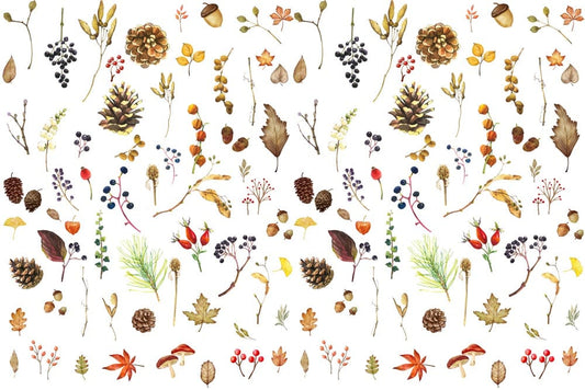 Autumn Plants Collection Wall Murals