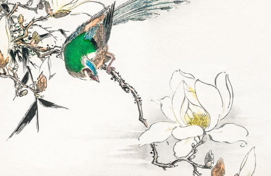 Bird and Magnolia Wall Murals