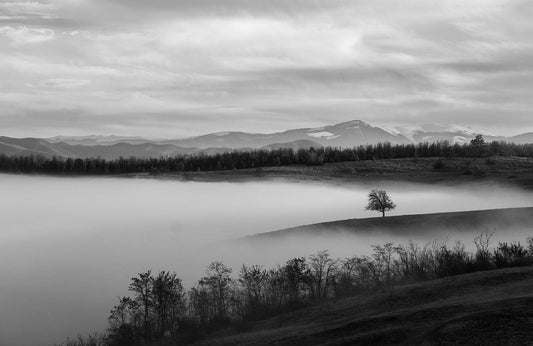 Ink Foggy Mountains Wall Murals