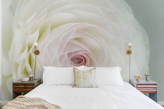 Blooming Rose Wall Murals