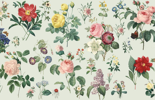 Blossoms Collection Wall Murals