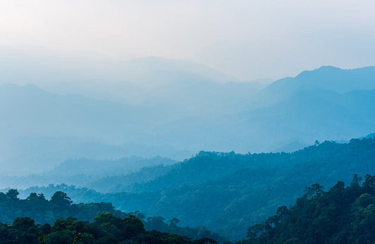 Blue Hazy Mountain Wall Murals