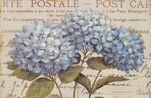 Blue Hydrangea Wall Murals