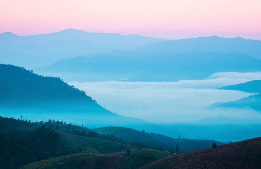 Blue Mountain View Wall Murals