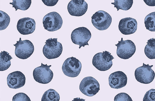 Blueberries Wall Murals