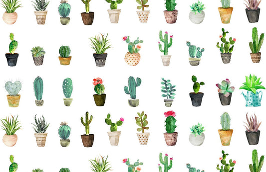 Cactus Flowerpot Wall Murals