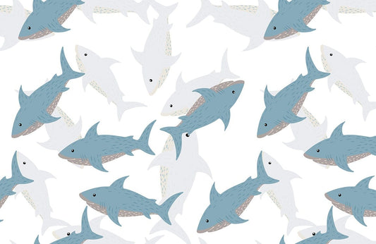 Cartoon Shark Wall Murals