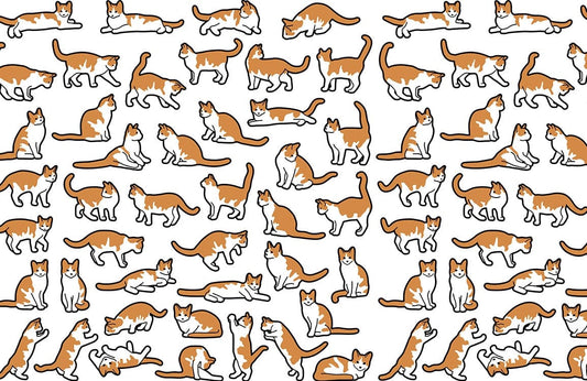 Cat Pose Collection Wall Murals