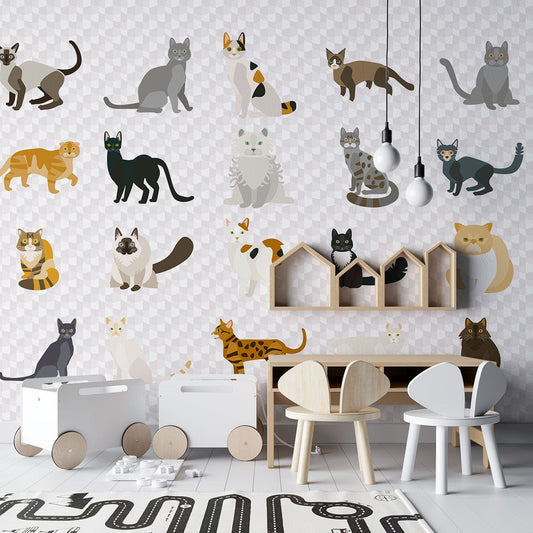 Cat Staring Wall Murals