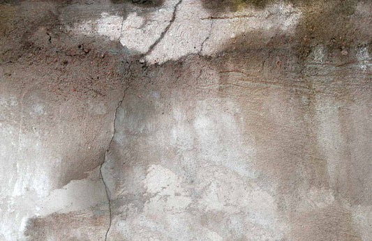 Cement Rusty Wall Murals