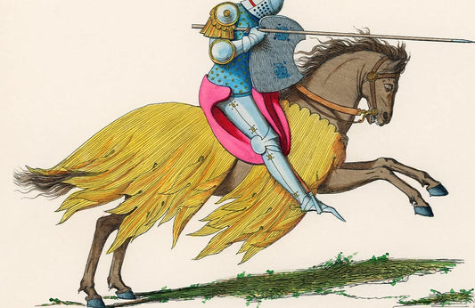 Chevalier Francais Wall Murals