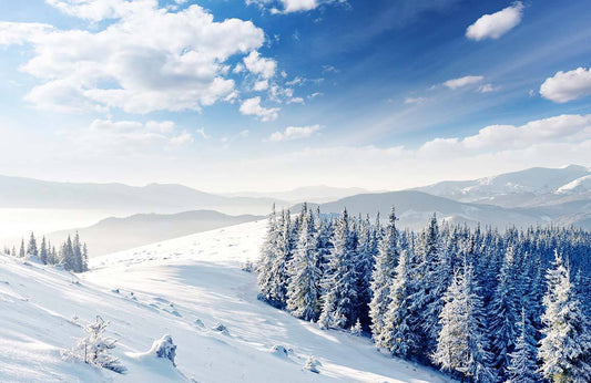 Clear Sky After Snow Wall Murals