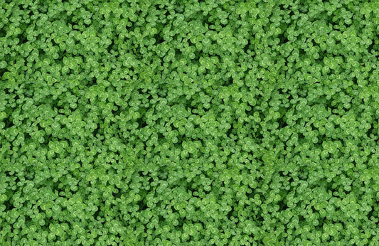 Clover Wall Murals