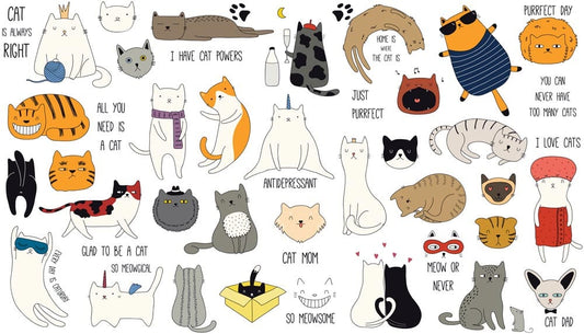 Colourful Cat Pattern Wall Murals