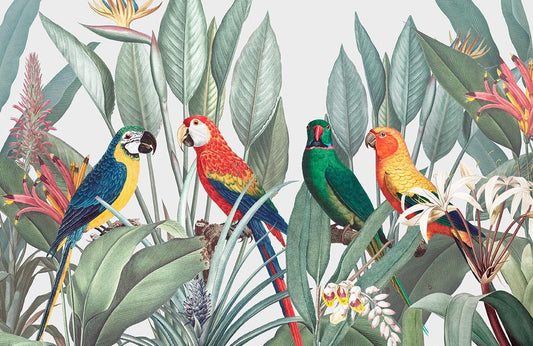 Colorful Macaws Wall Murals
