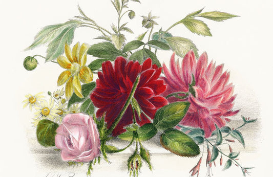 Colourful Still Flowers Wall Murals