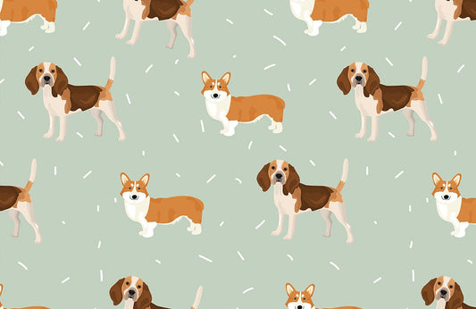 Corgi Pet Wall Murals