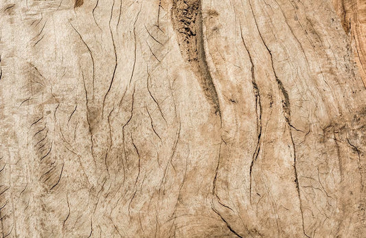 Cracked Wood Grain Wall Murals